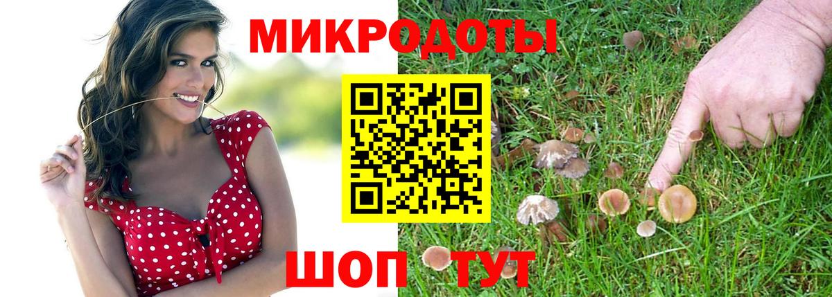 Псилоцибиновые грибы ЛСД  где найти наркотики  Похвистнево  Вход с VPN  Галлюциногенные грибы Psilocybine cubensis 