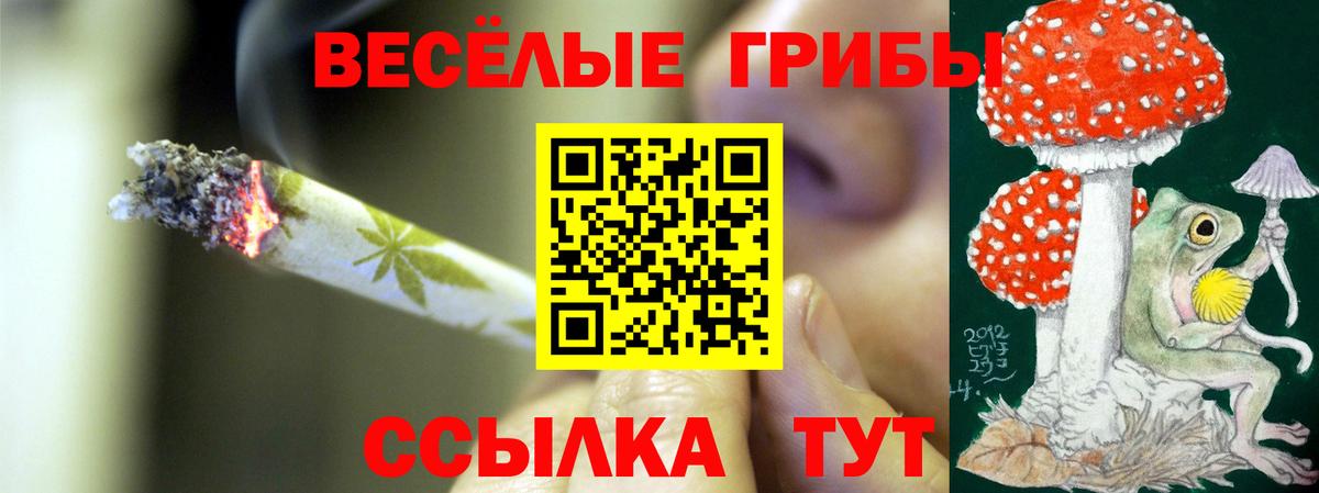 Галлюциногенные грибы ЛСД Похвистнево